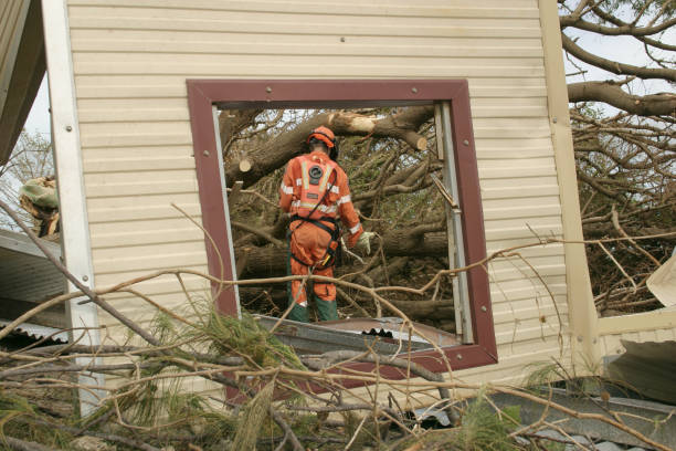 Best Tree Removal  in De Soto, IA